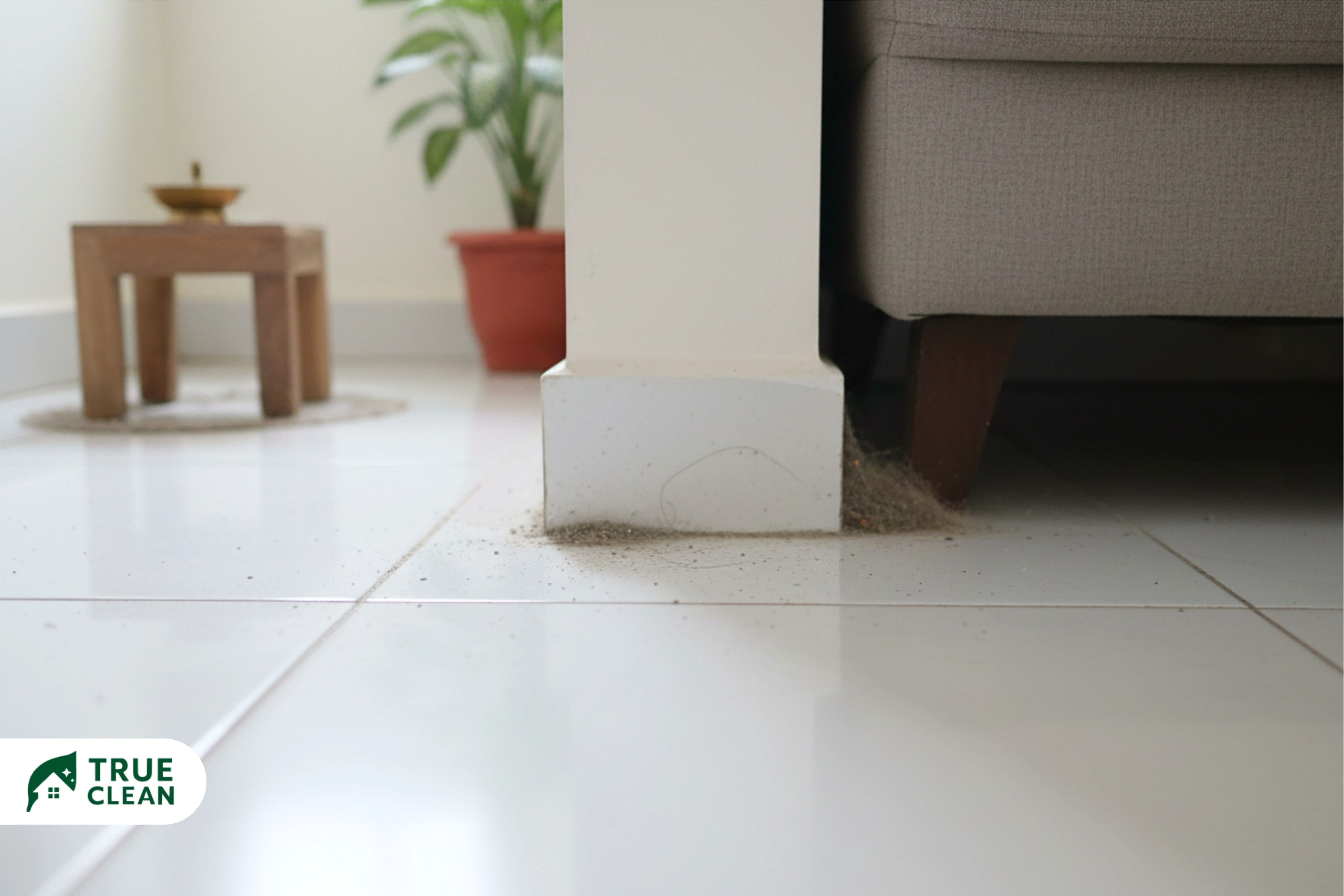 Regular home cleaning maintenance