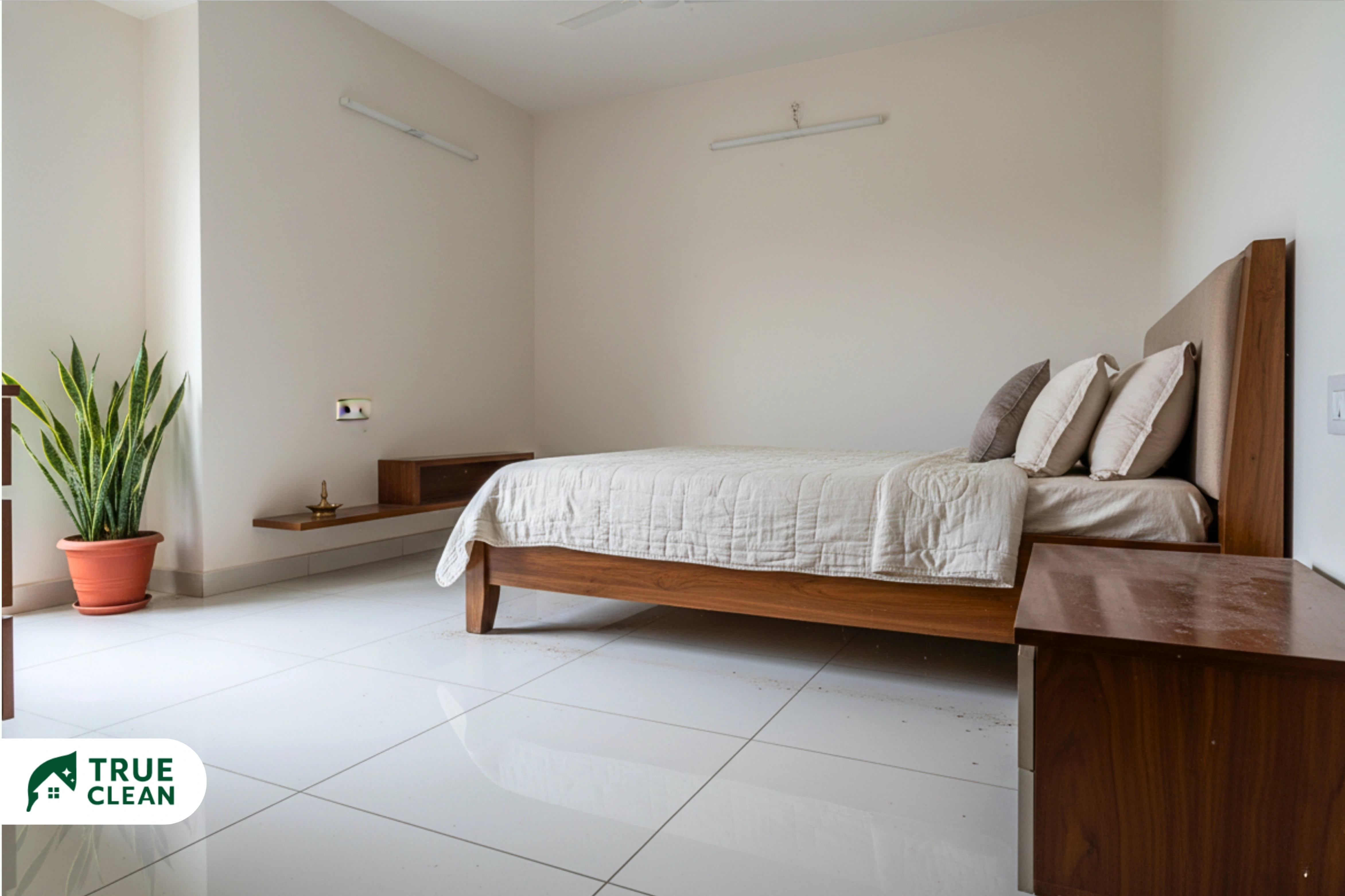 Deep cleaning vs regular cleaning comparison