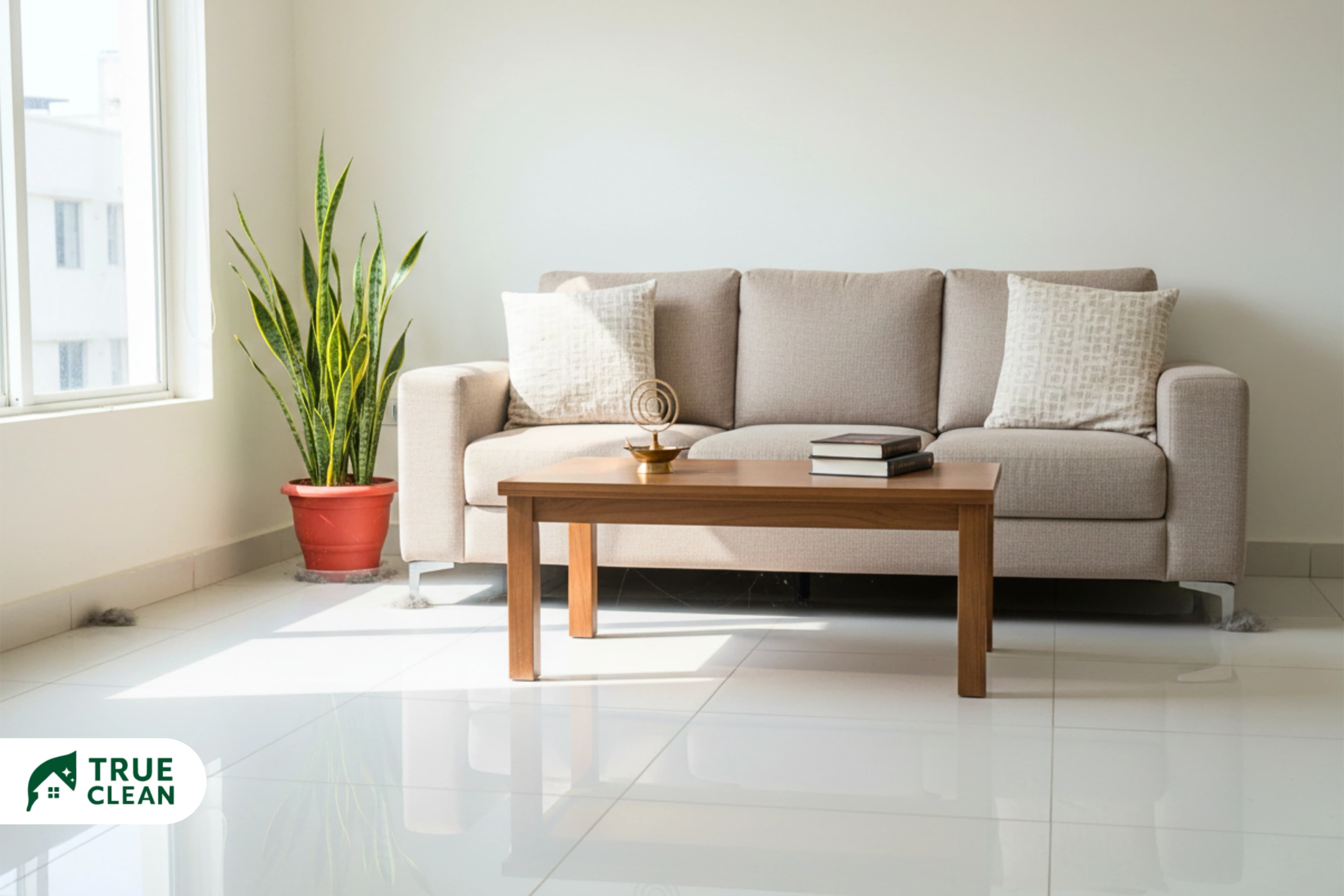 Why Regular Home Cleaning Stops Working After a Point