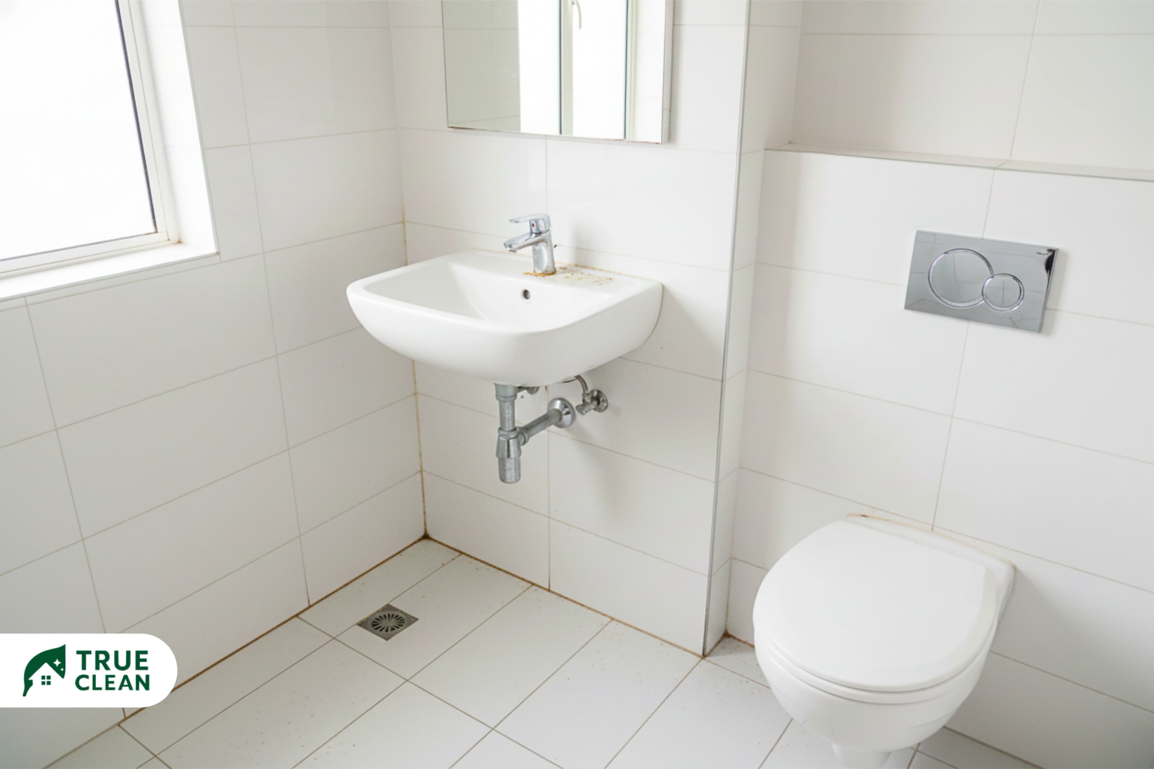 Bathroom Cleaning Isn't Just About Shine: What Most Homes Miss